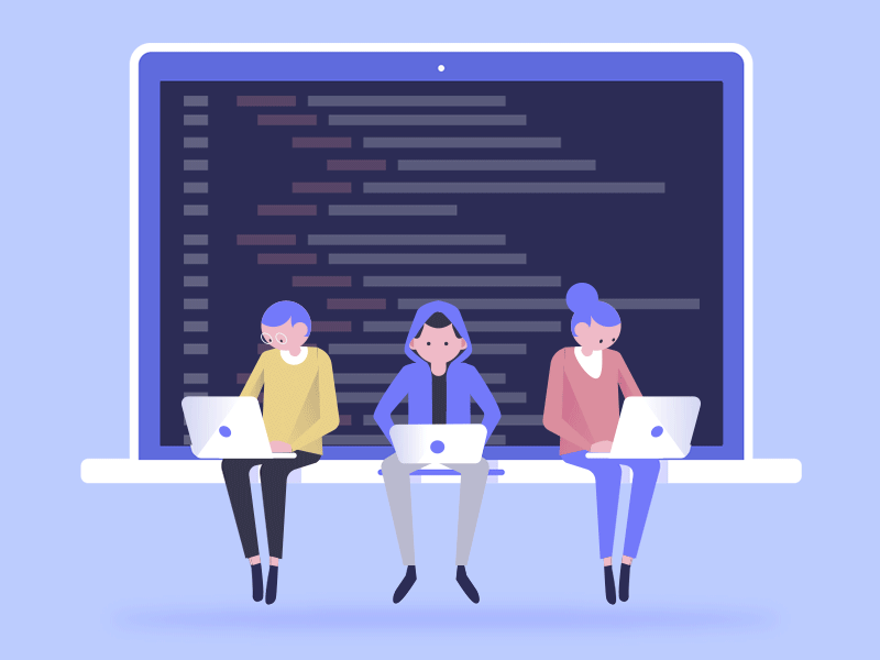 Raghvit Softech LLC - IT Services & Software Solutions